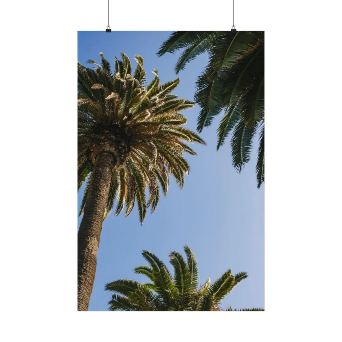 0b040df62557429b8d6610eeccca409f