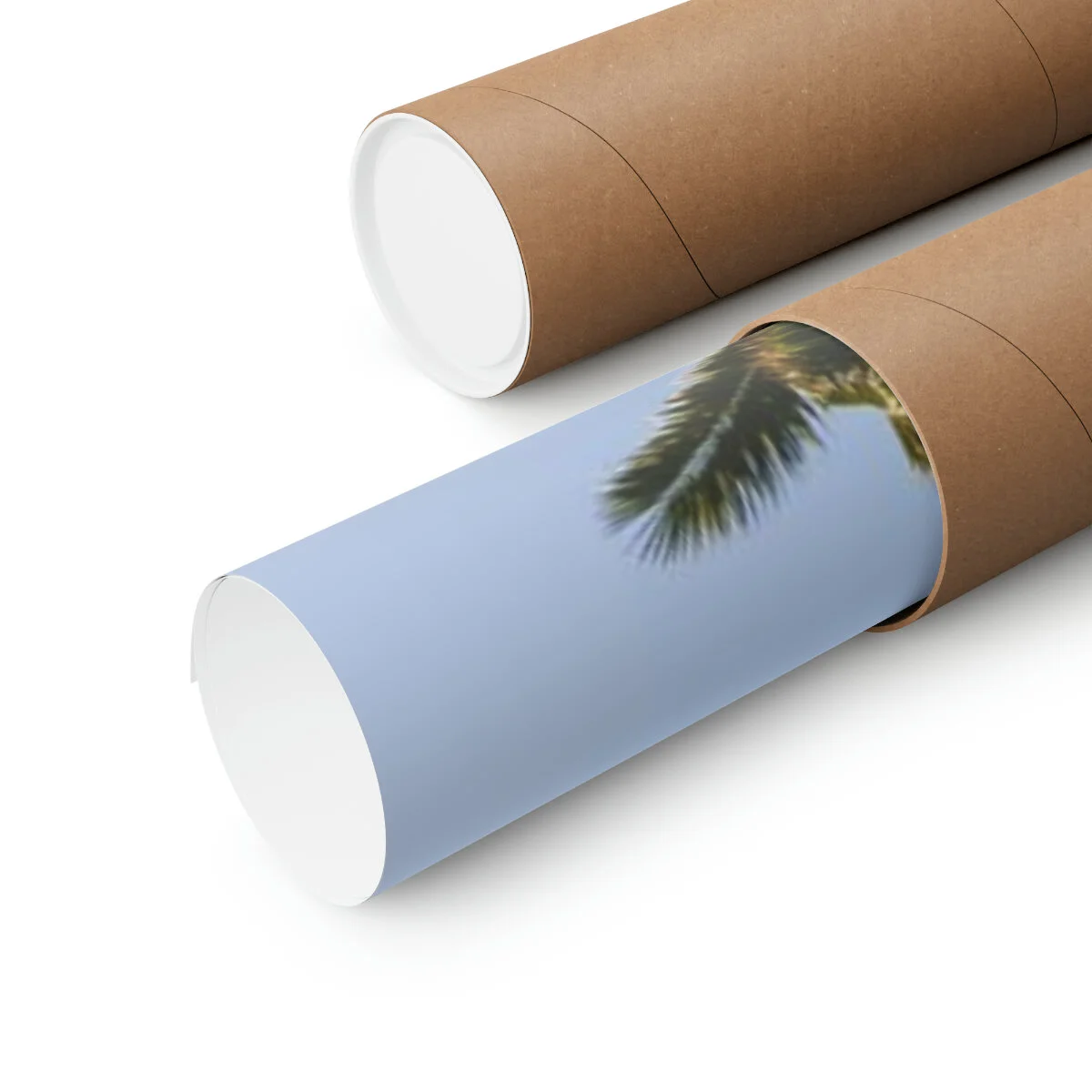 5b7e01aff30ba6a8ded9f5db6b1fc001