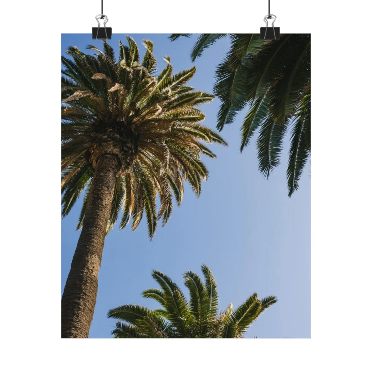 bc78dba23f071ff4e3112864497a7745