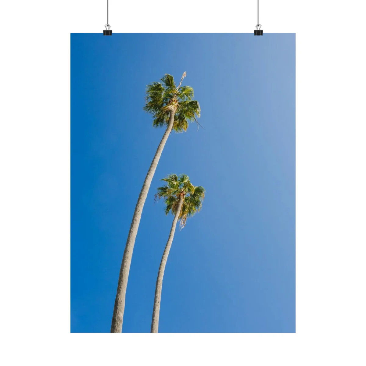 ca124d1786ebe93e21aa0554ebd696a5