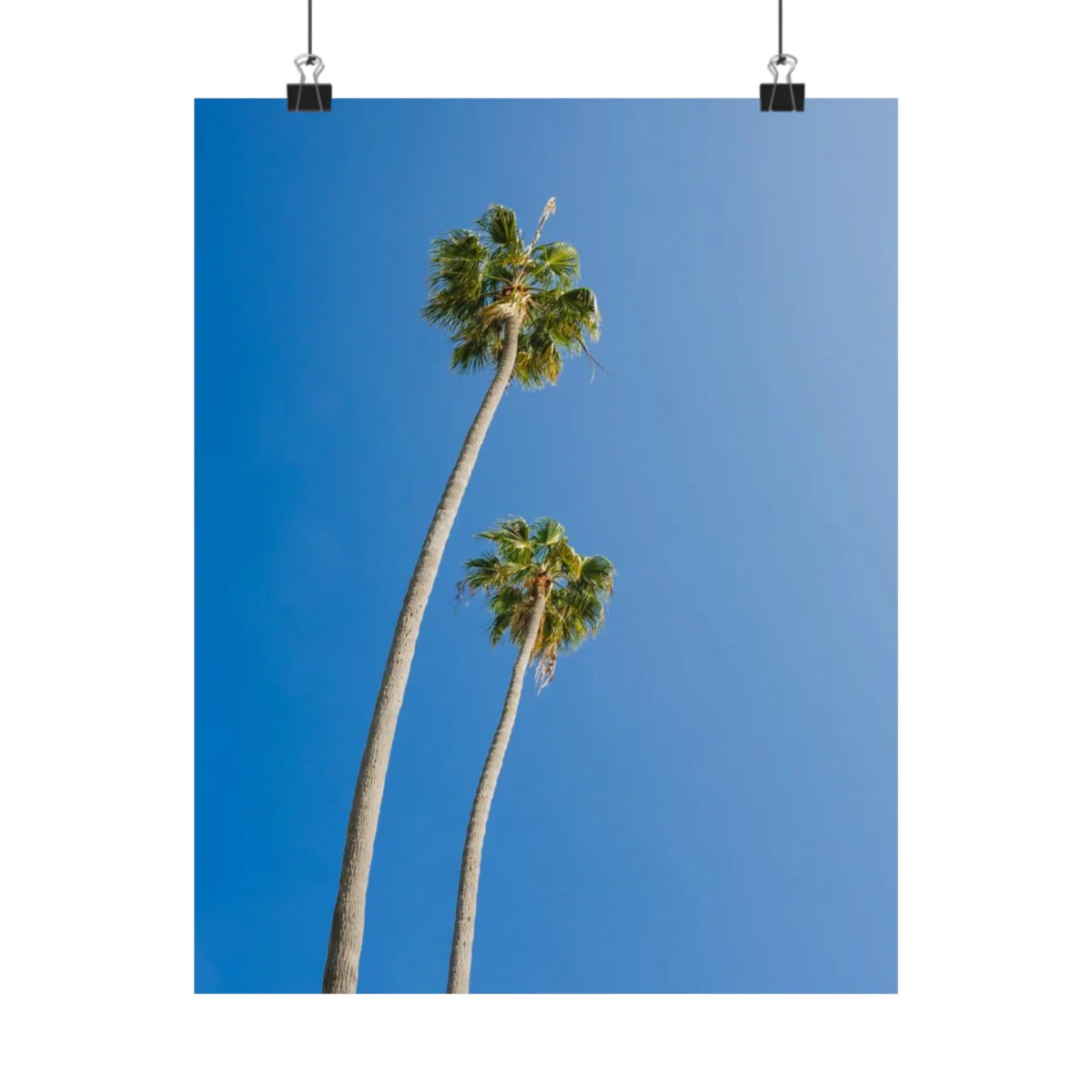 e0da6f972de9cefd98efbee8d82dc3e9