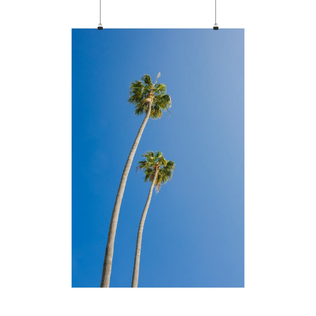 3111d024a9b72adec402a37b7faa309e