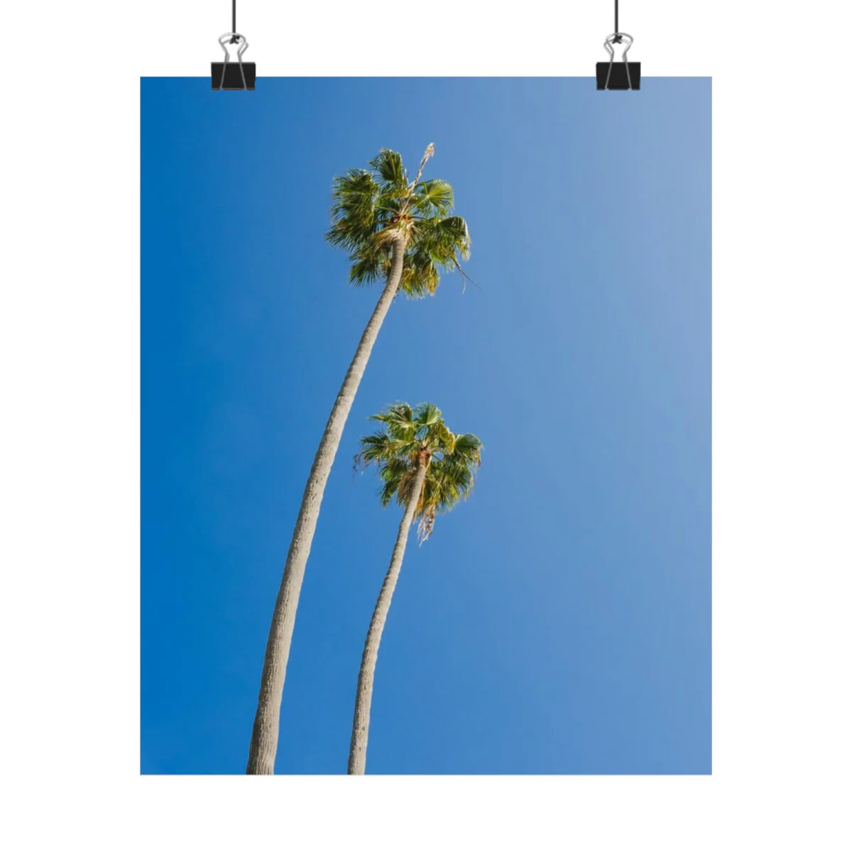 c8f01488662e951633f1a5cb49e7f7b3