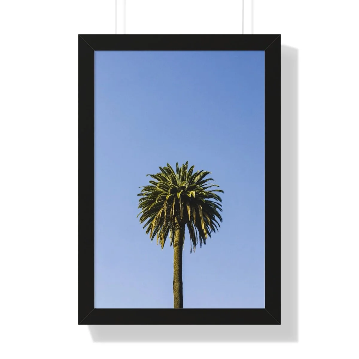 4bcffecfb91afb00b2b0d3267f930511