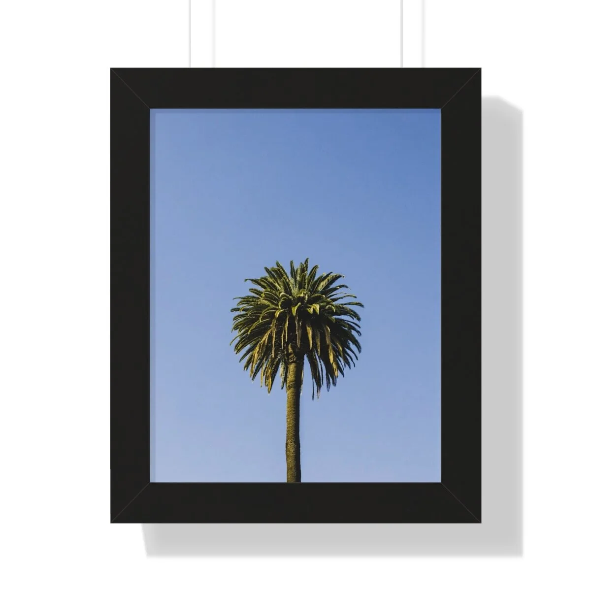 ecd51edc3566b2fecb7a63a261a97be5