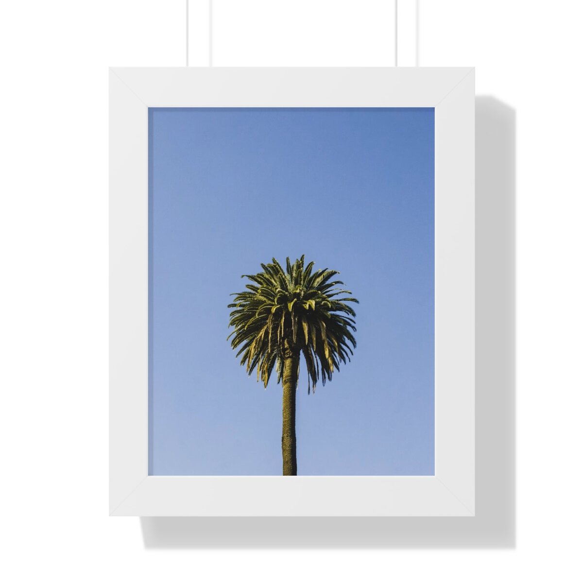 1105c44fe63159e4697db37aff0fd2ab