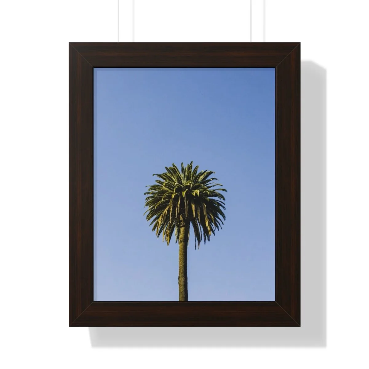 a8ec8e0e85100820107315e97edc287d