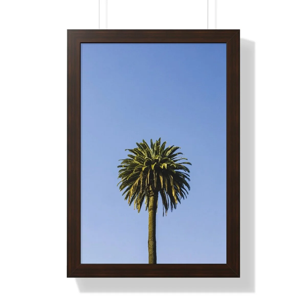 61936333f2a5a6bfddc9314db2b64f49