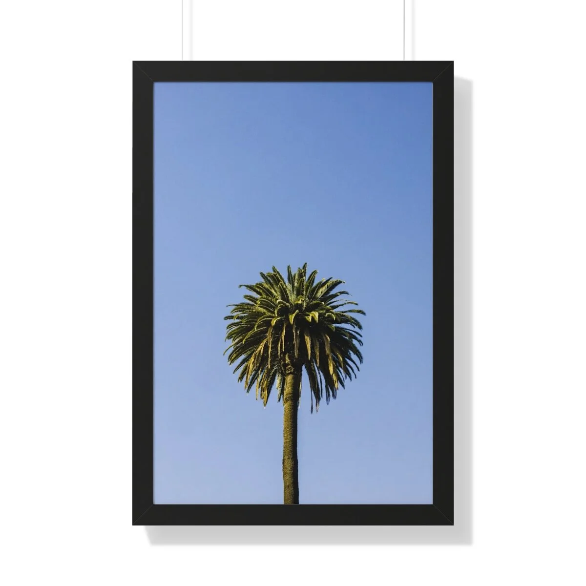 45e1d81d27925587a5b448458e105764