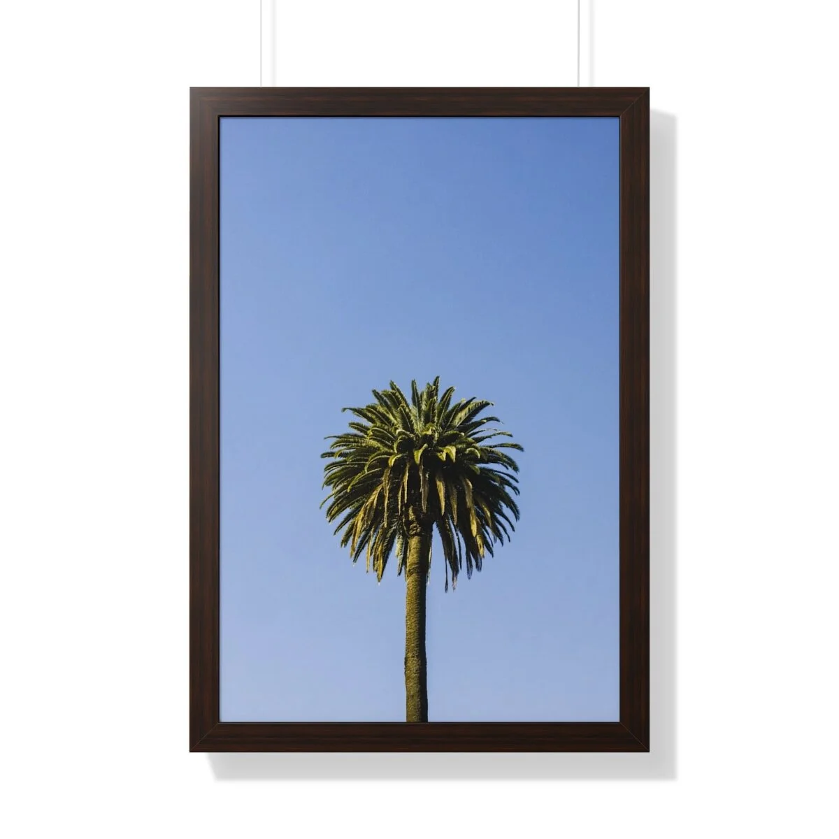 21a23a77108fedfff9e2c58a540fce54