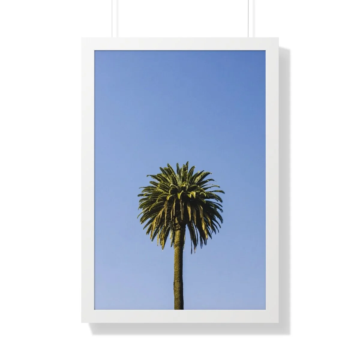 fa4fff1e28b6bd3dc708651bdcfb9197