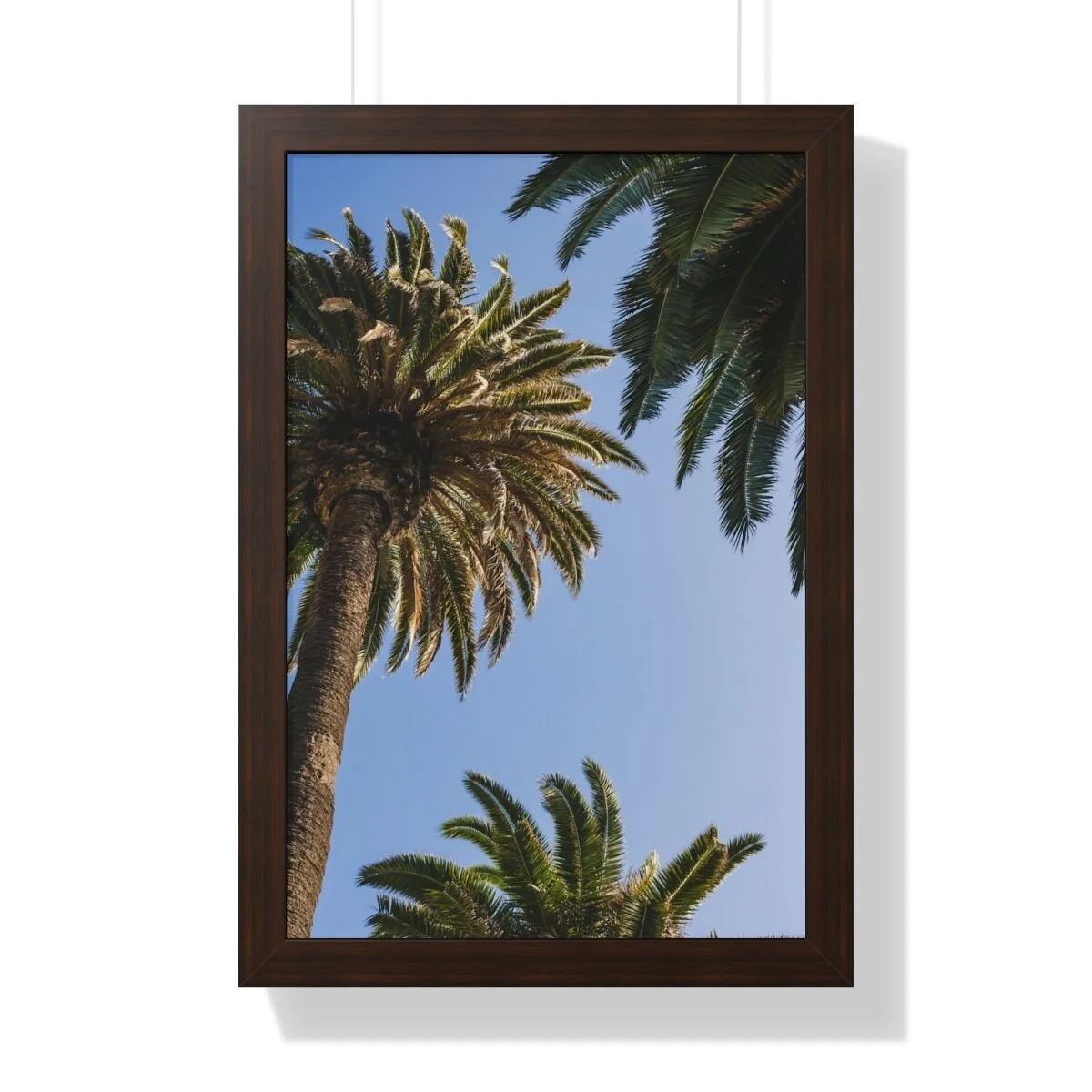 a403b099d3b9cca34380759e2fe3af2a