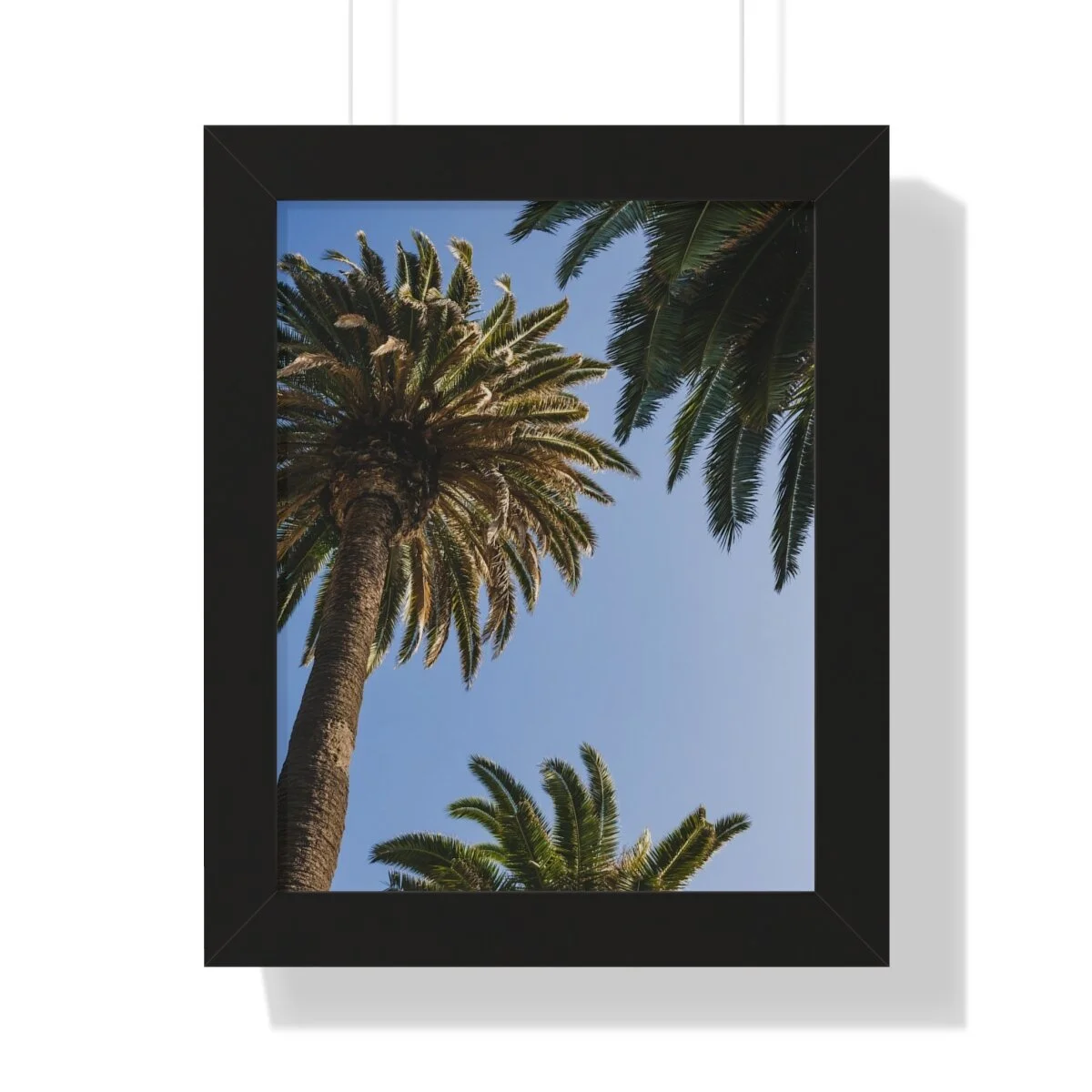 f2f29df40e349d89dba7e7421fc4dd74