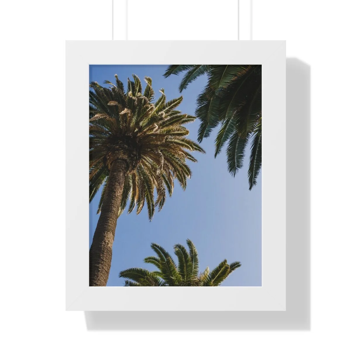 7069b12566b9bb616e6734daf522e993