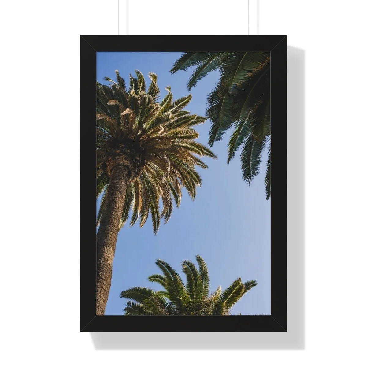 ae4ad27c3108444064afb5325cb1b65c