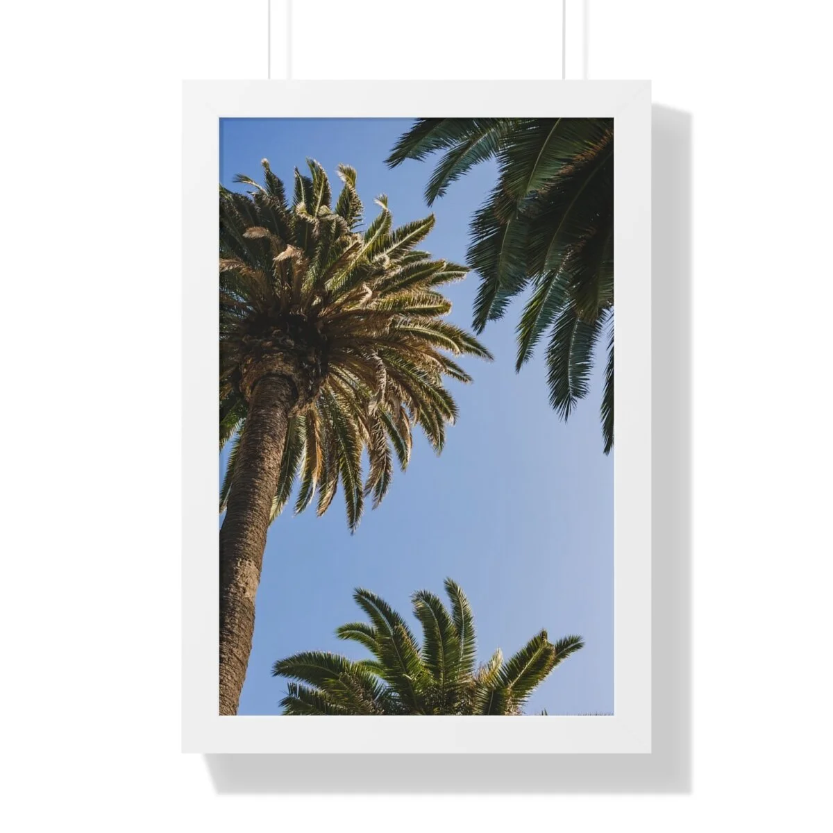 b61c39a6abe6aa15cbaa304dba3fad64