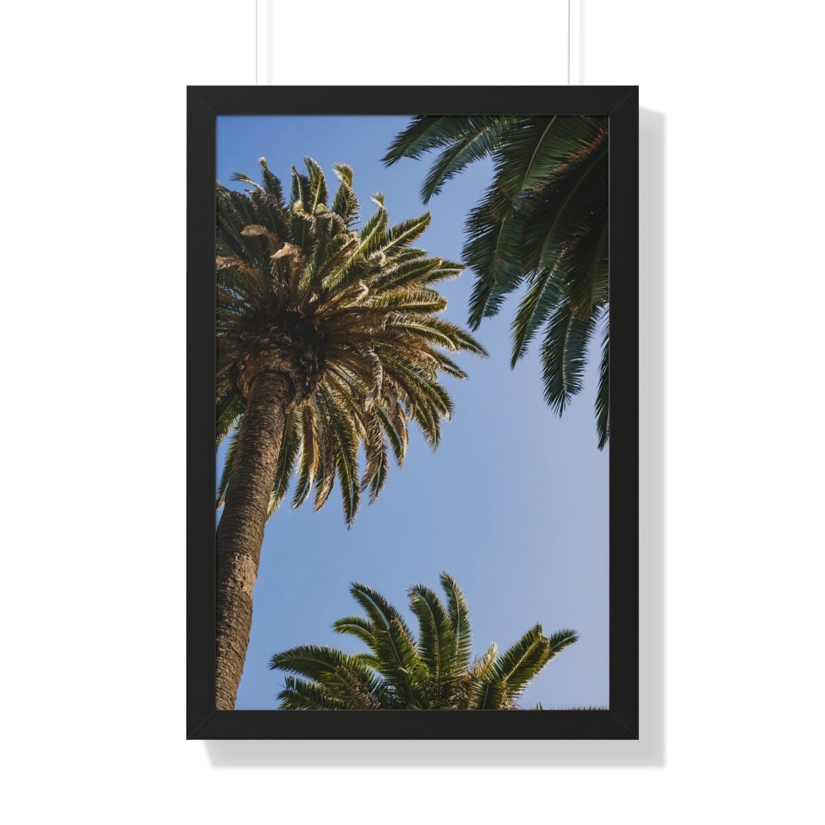 a4f11ba9232593aa7fa39351ea99f406