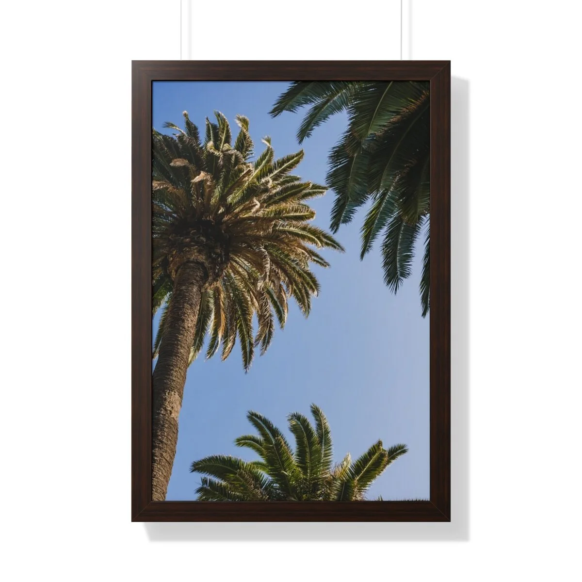 21760115932883ce50b5760dda649621