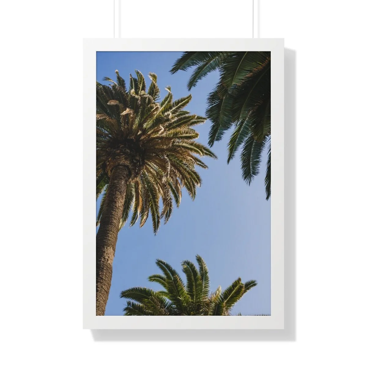 44b3bddea49d638273213a2f2815dee2