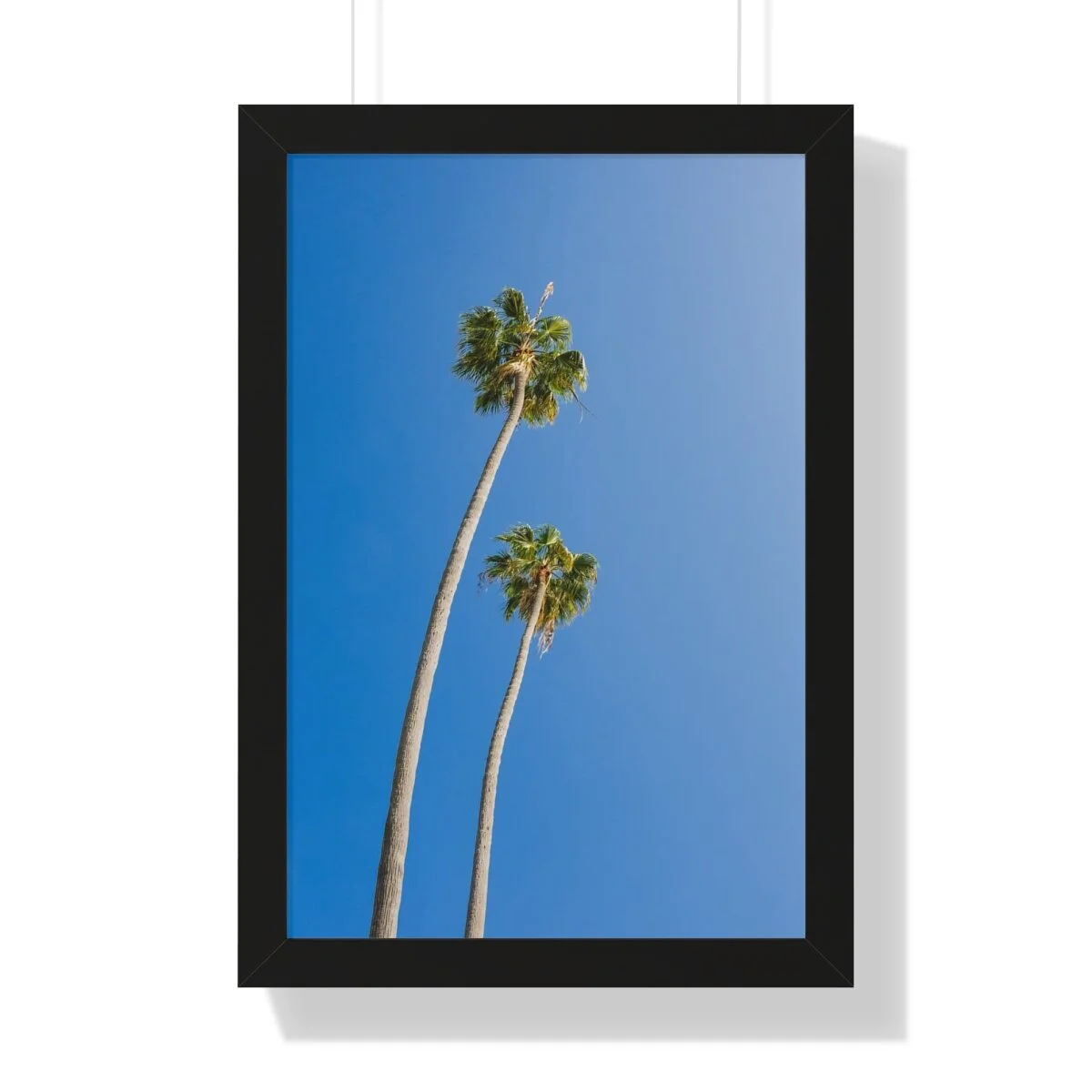 a8ba2e5f8e331427bf70a2f08d6e3892