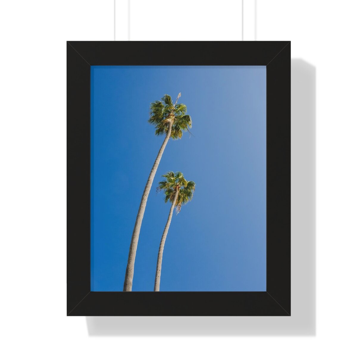 5f32ff05eabacadaffe816d6df08991d