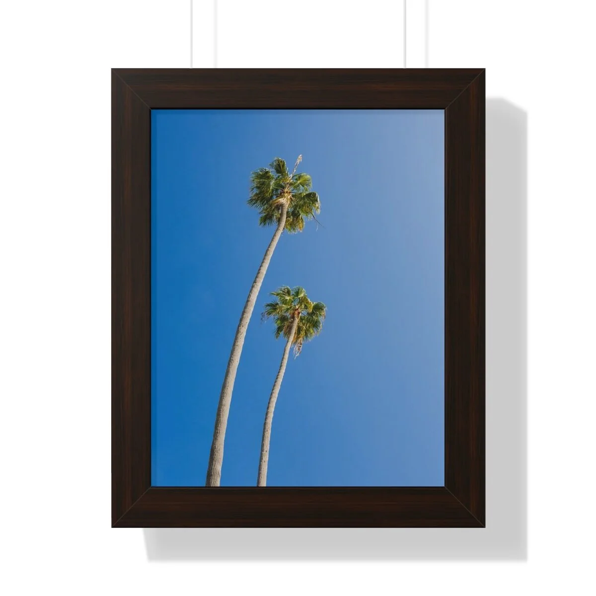 846d9e134c8de0f169e20dc4c6d3593d