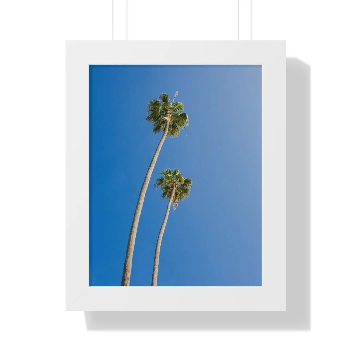 e22d9916f20fc7518192baa06b03ef76