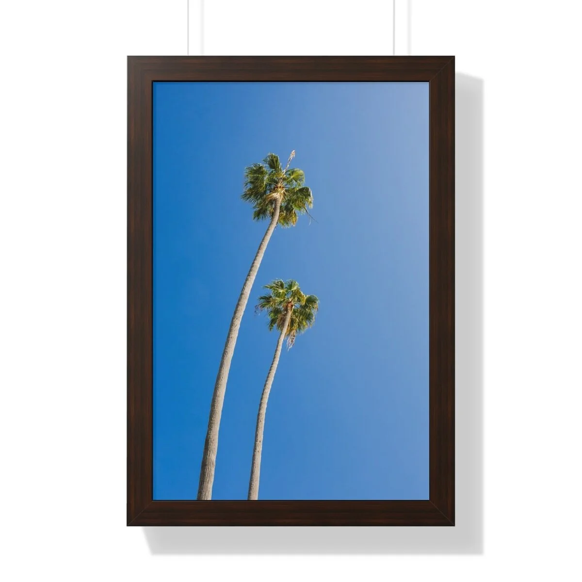 a89fb80c53d2d02a355df8d2ccd73a66