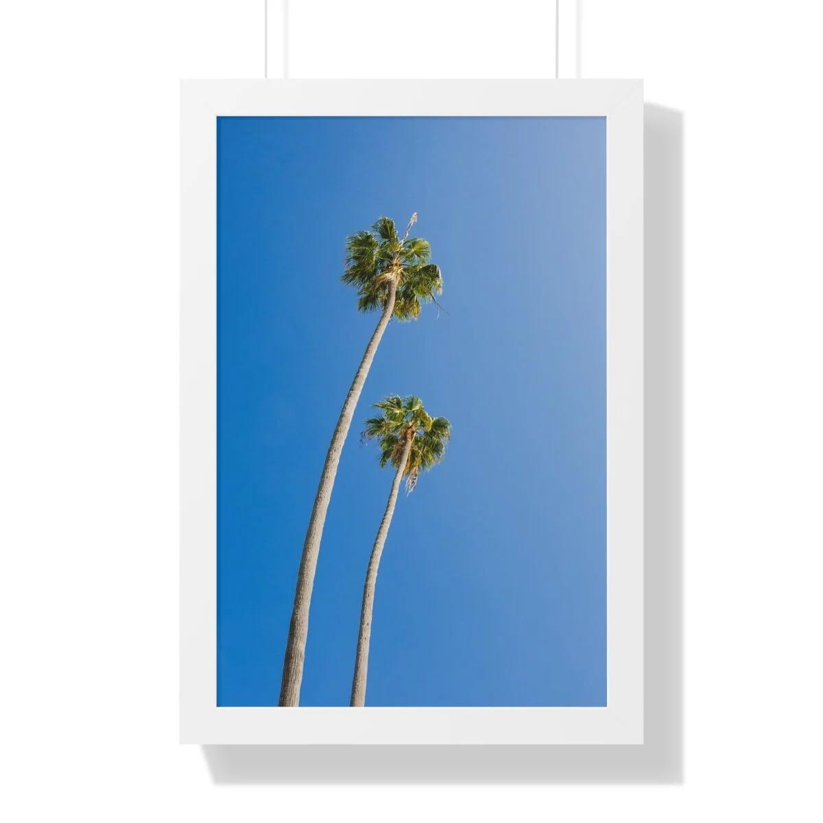 94a375c8157c97f831eb067ac7bec58f