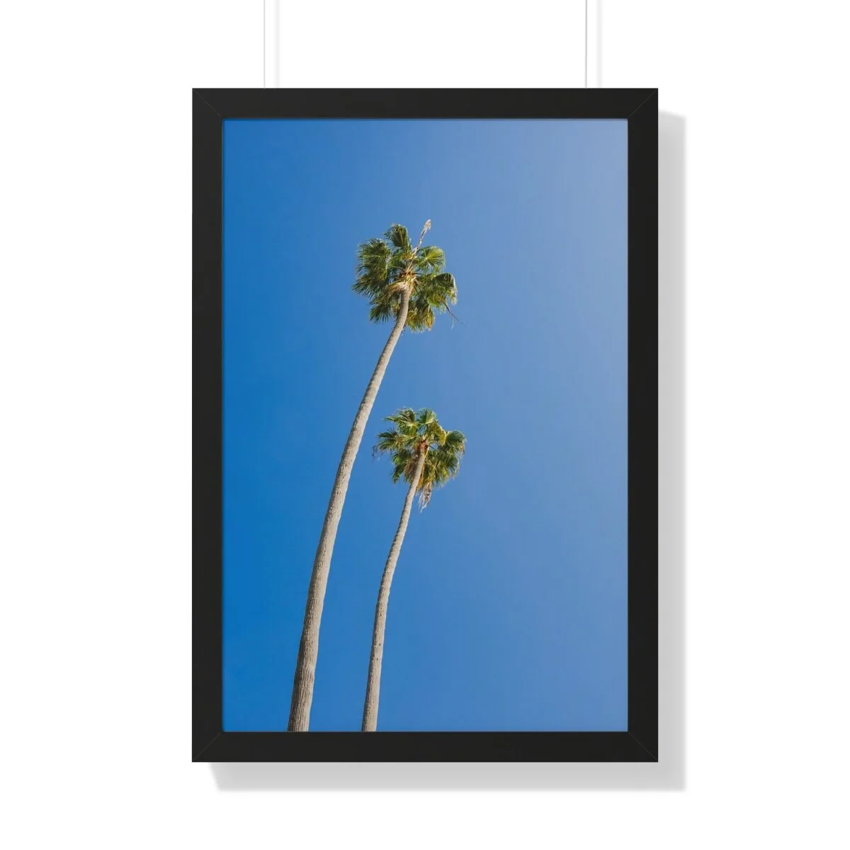 f9b4925164e88da33c8b43f2430cb0a6