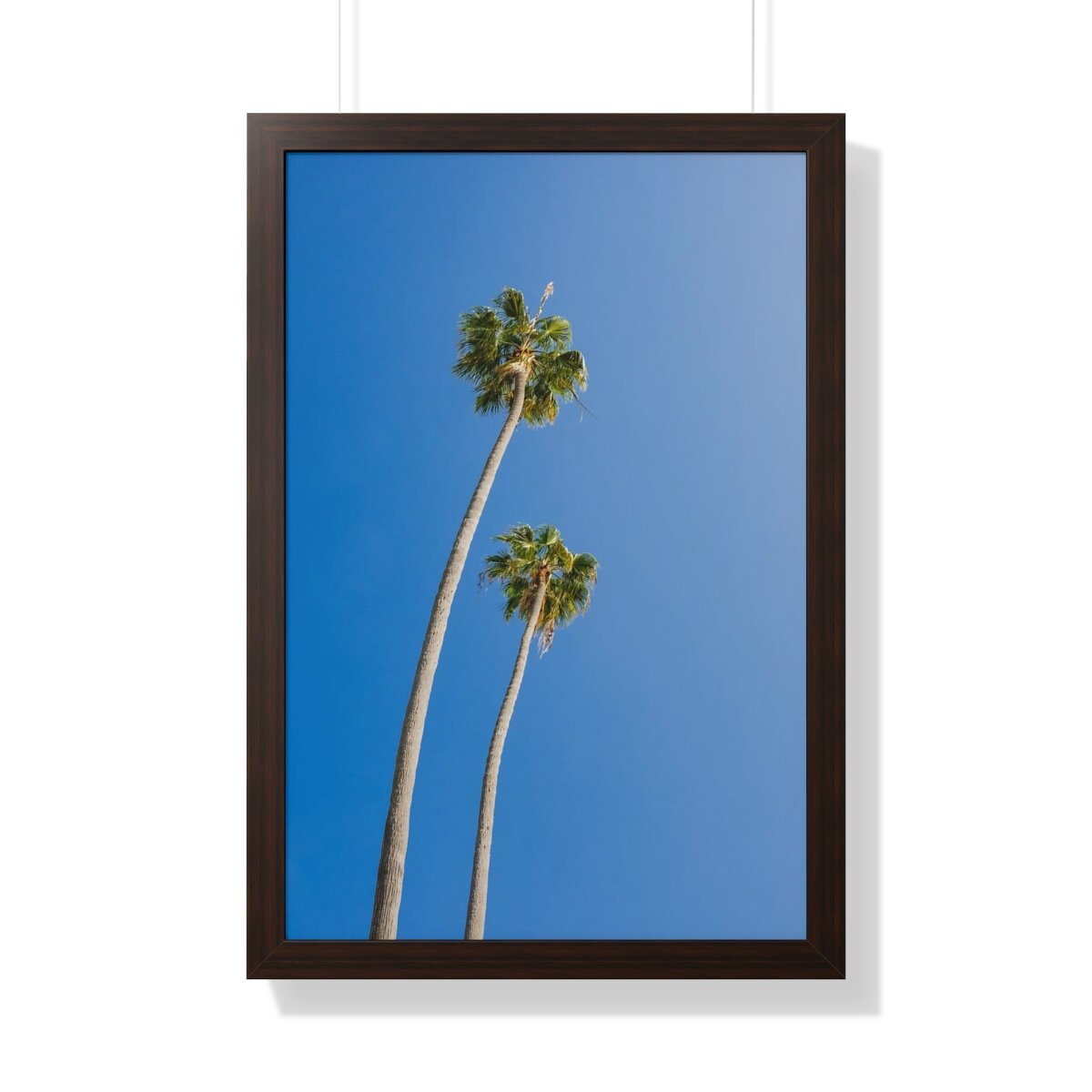 2c60b742900577a30923538075b2bc12