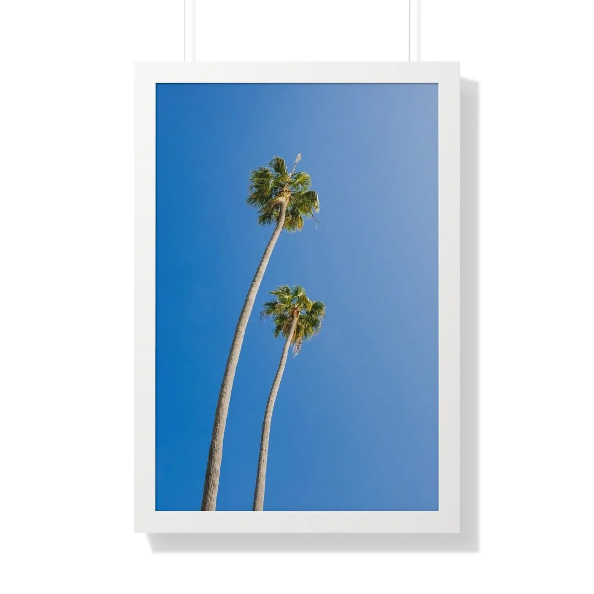 92e8aea5ca5b401b59b8c0c885b8a8a8