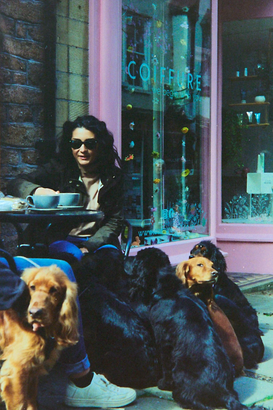 Woman with seven dogs.jpg