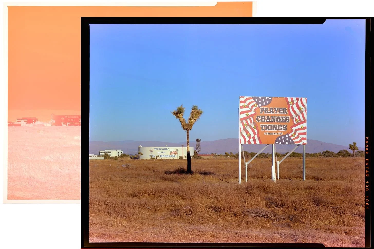 Capture One now has built-in negative conversion.