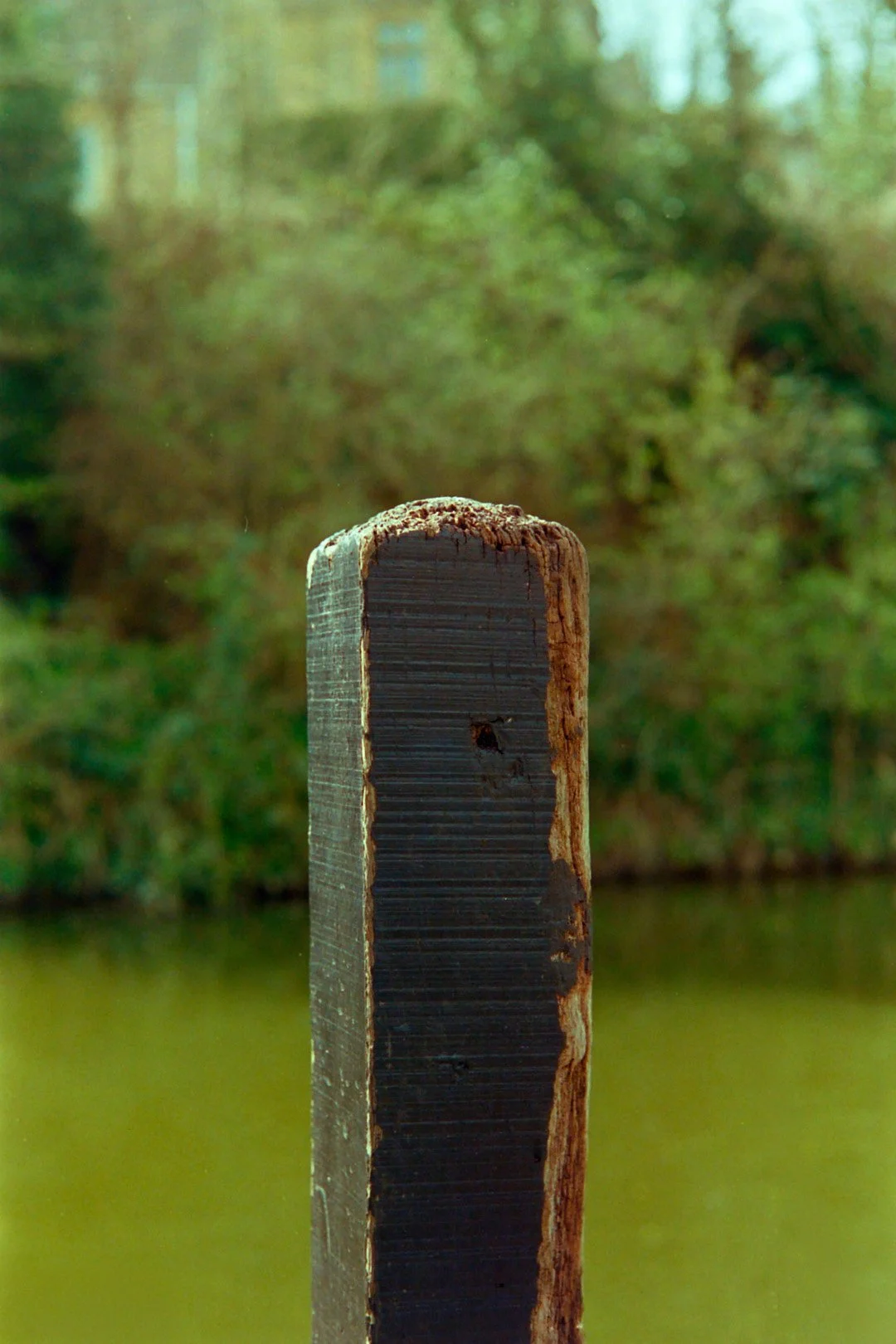 Fence post.jpg