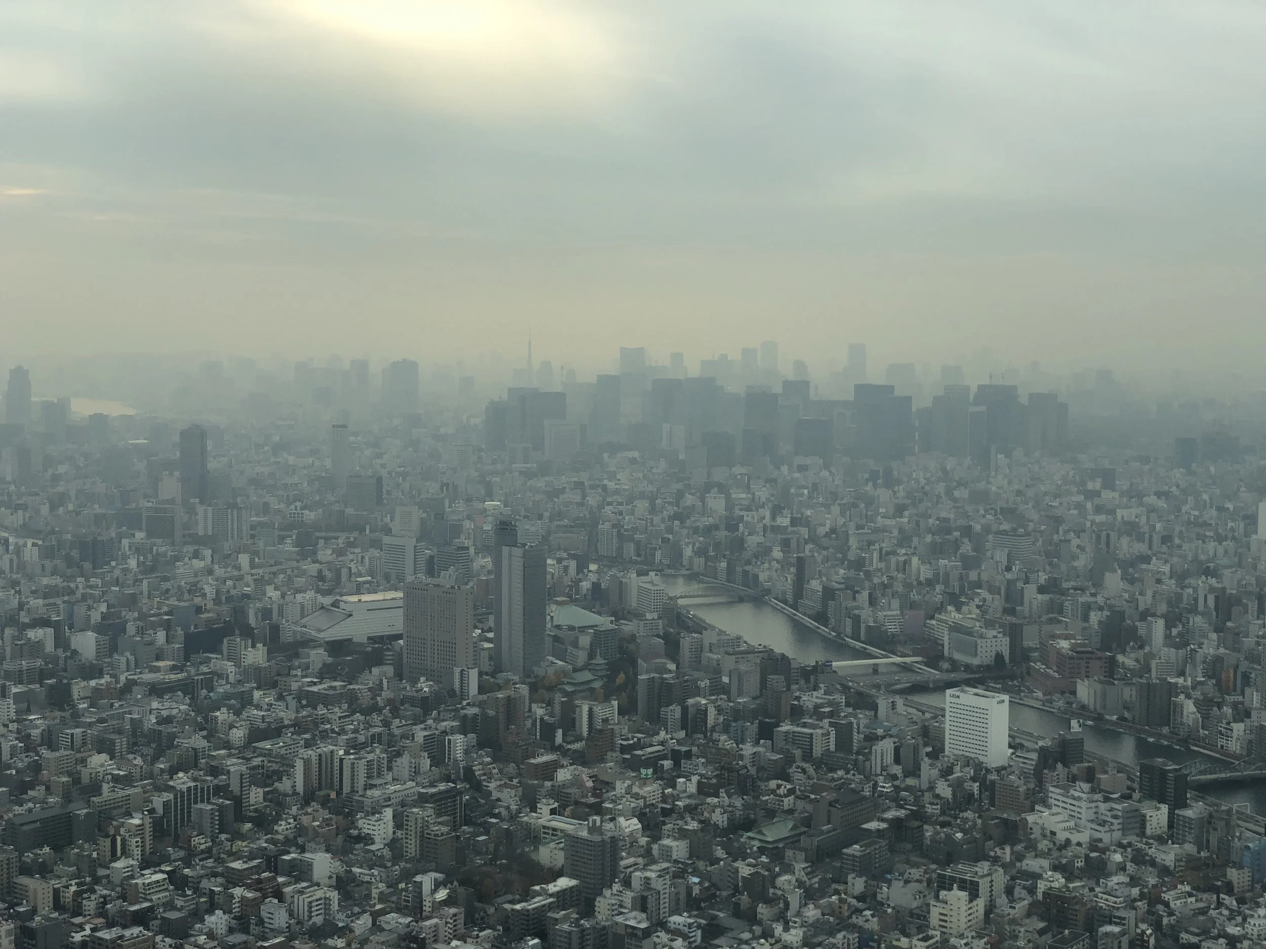 SKY TOWER.jpeg