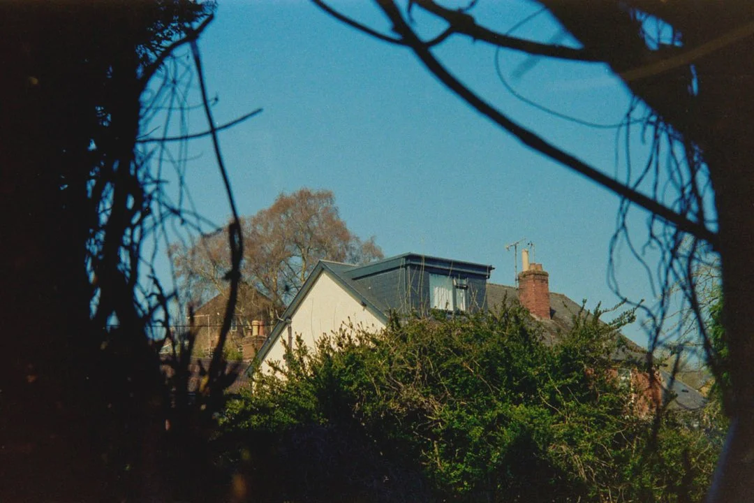 House through the foliage.jpg