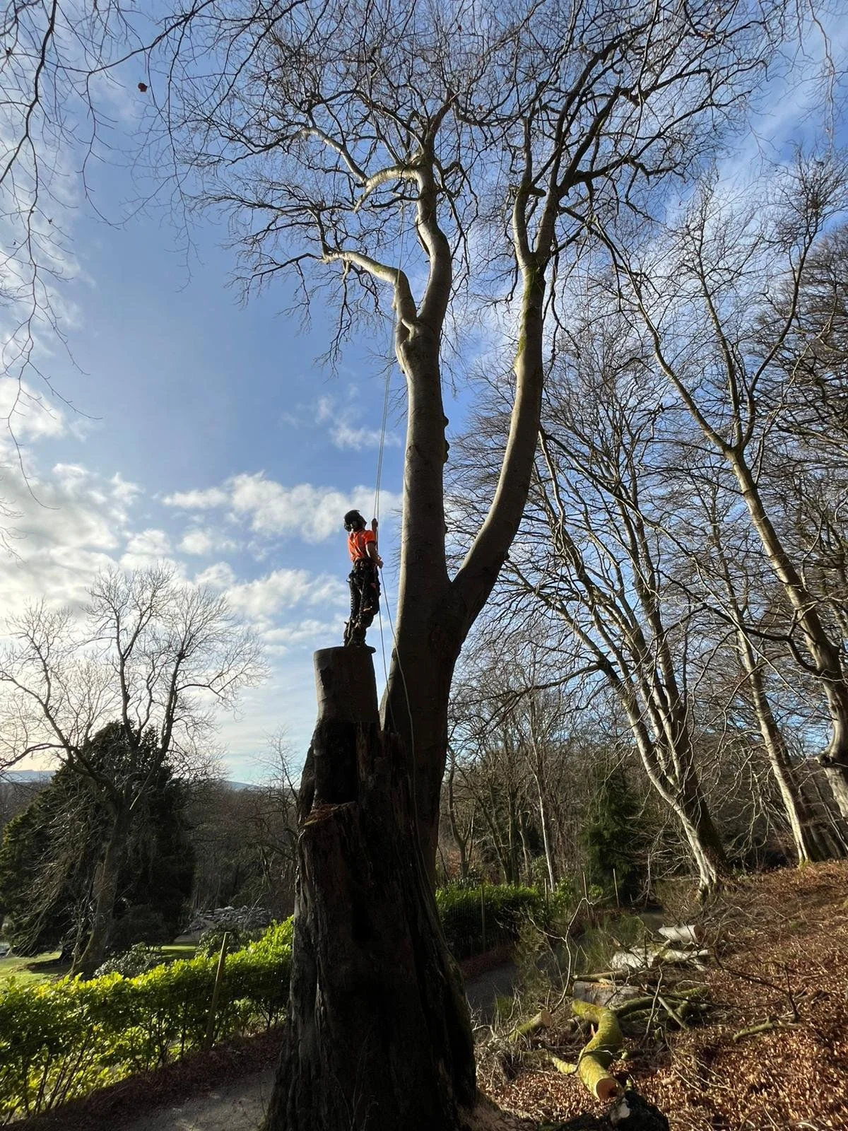 WhatsApp Image 2025-11-17 at 08.49.51 (1).jpeg