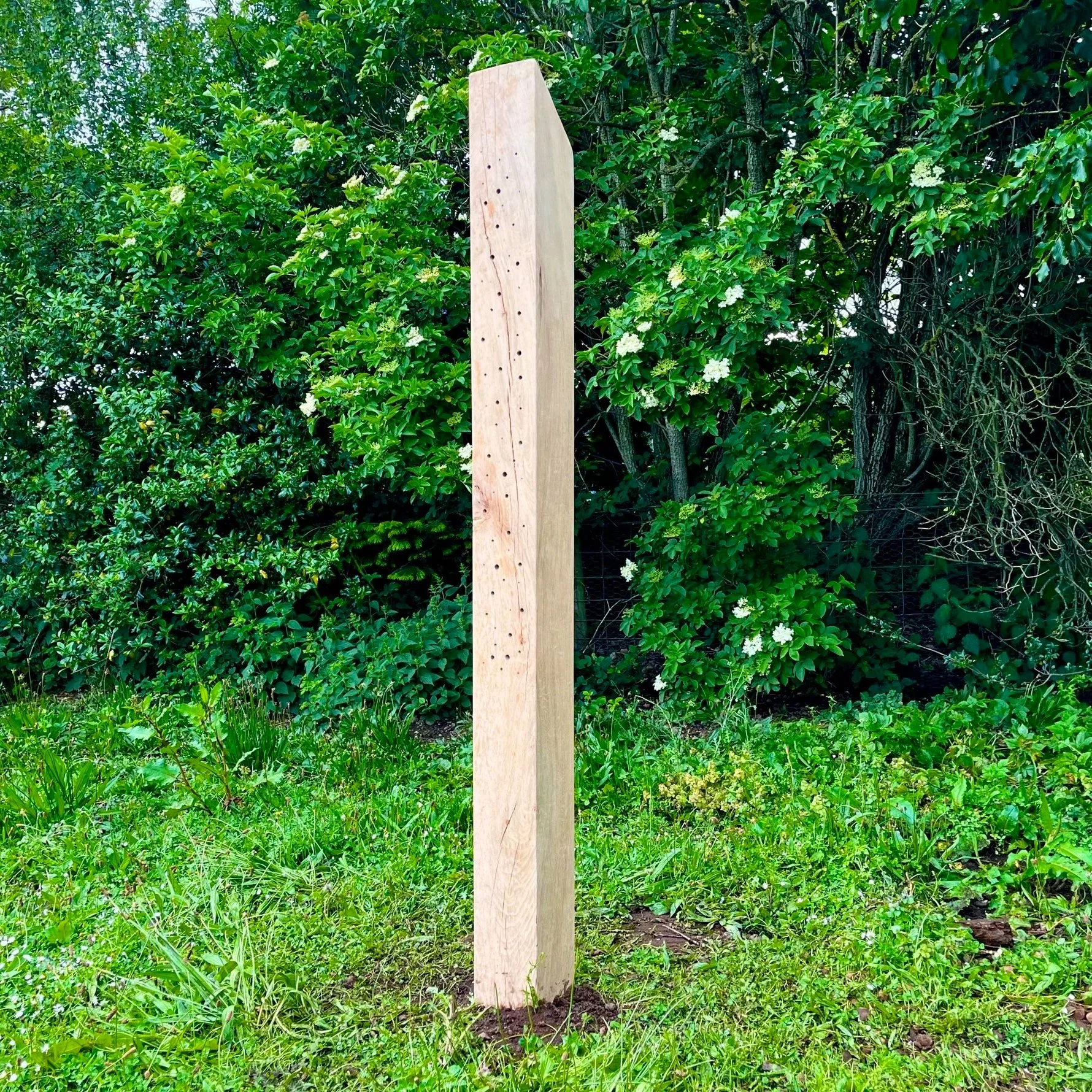 Oak Bee Post: Home for solitary Bees