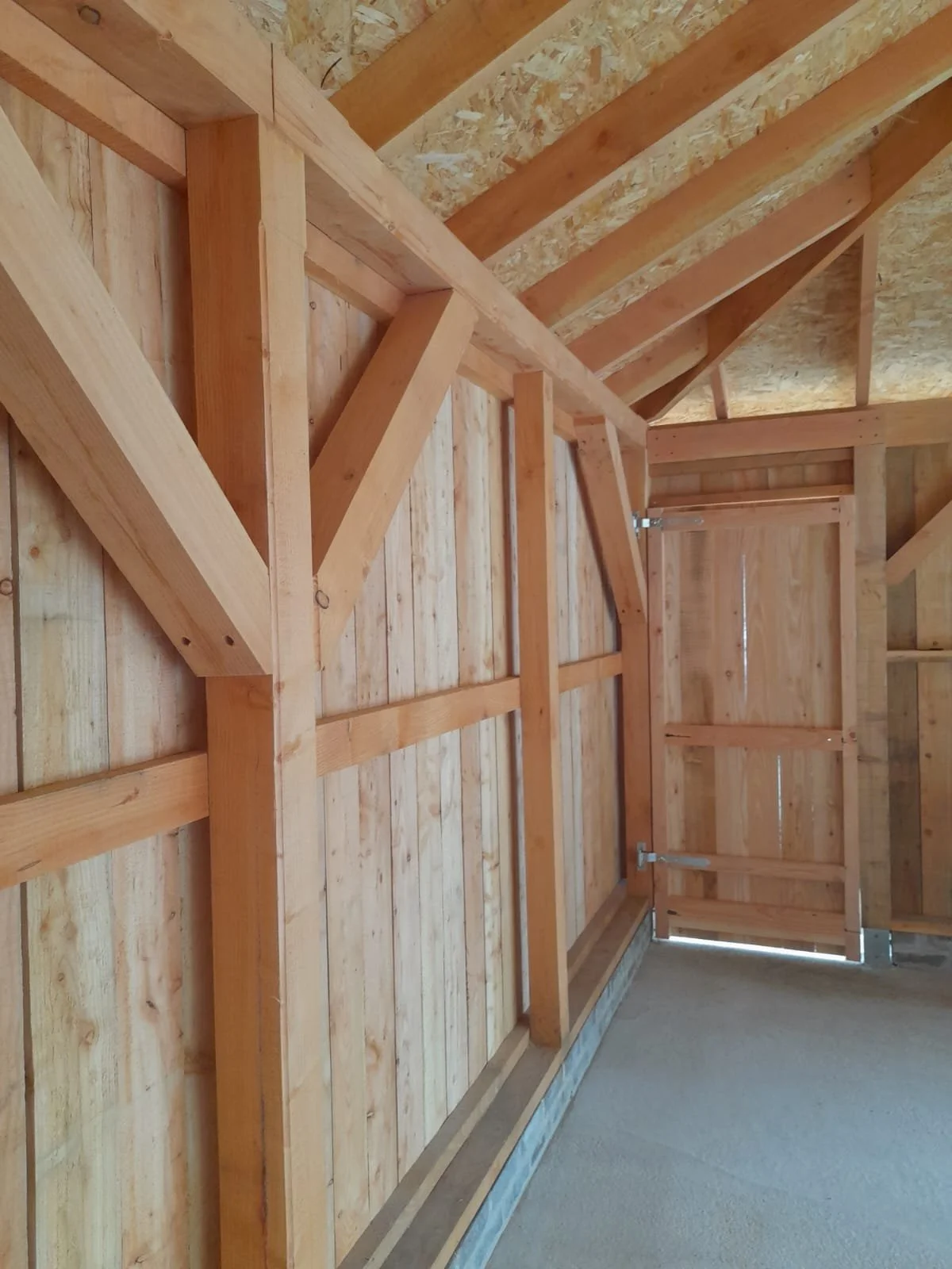 WhatsApp Image 2024-08-13 at 08.33.27 (2).jpeg