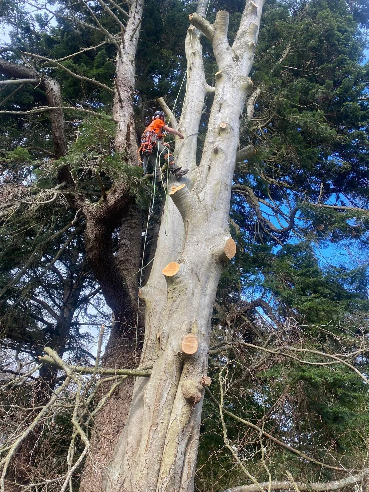 WhatsApp Image 2025-11-17 at 08.49.50.jpeg