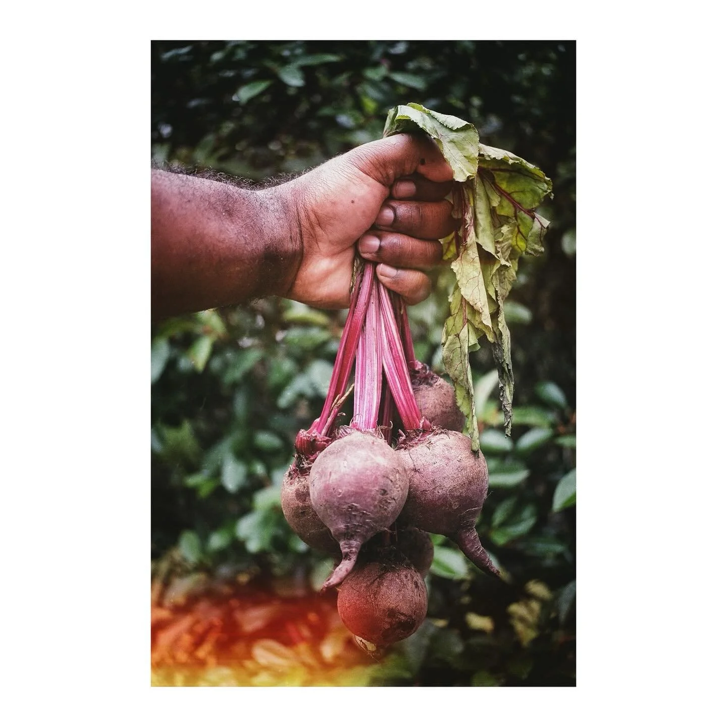 Day 8 - A self portrait doesn&rsquo;t always need to include your face. It can be any part of you, from your perspective or just a representation of you. The
Key aspect of a self portrait is identity.
#fujifilm_xseries #fujifilmxpro2 #selfportrait #s