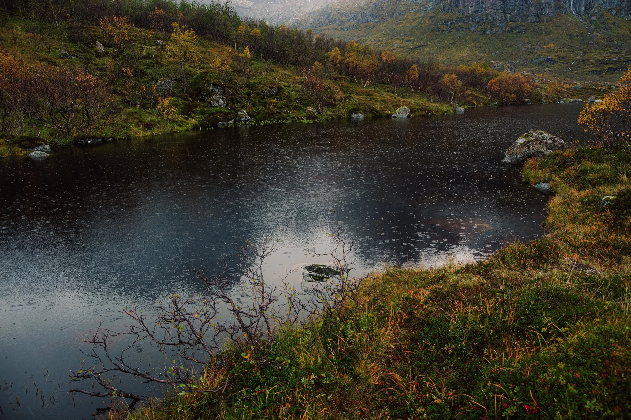 _ST_4081.jpg