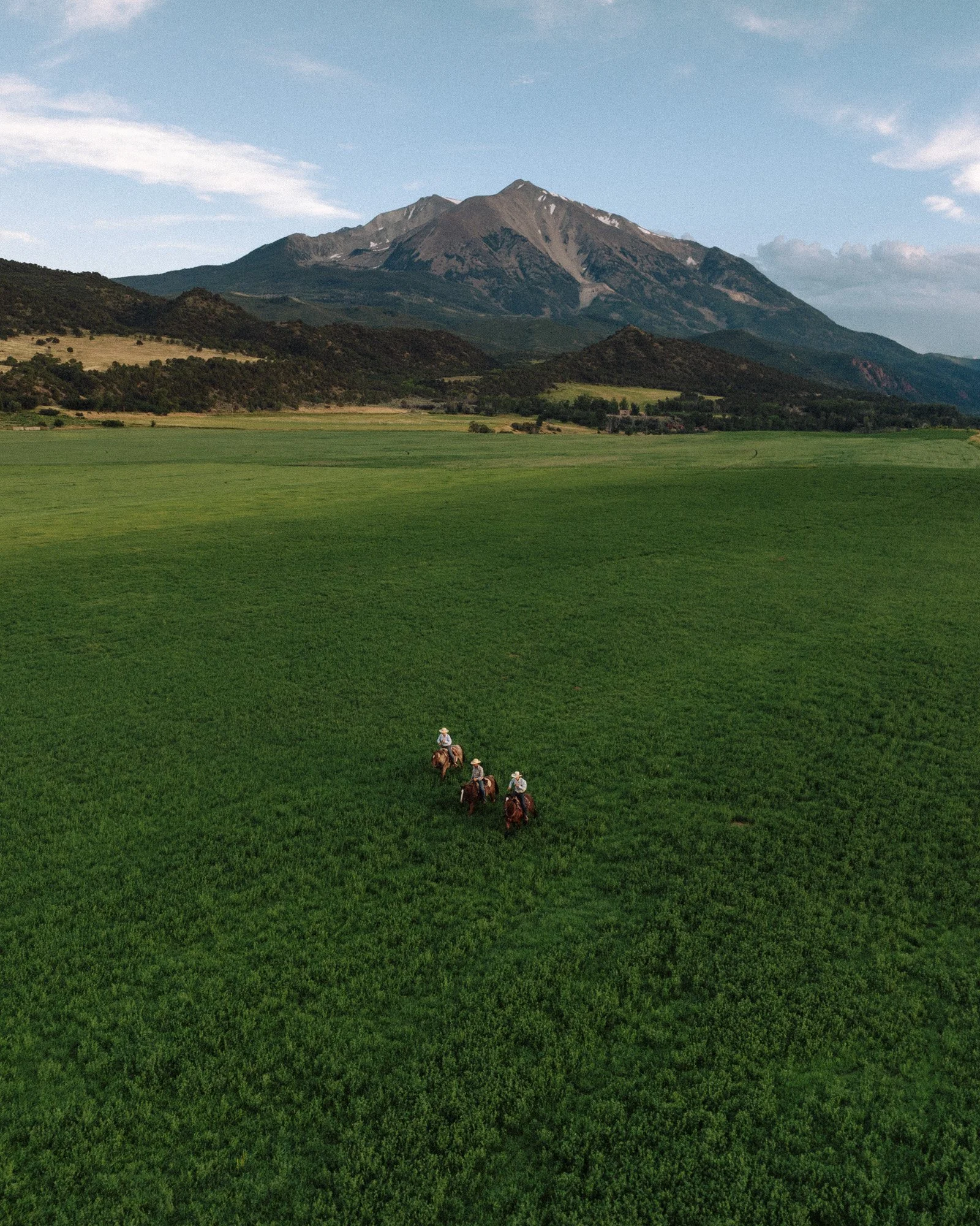 STROHL_DJI_0323.jpg