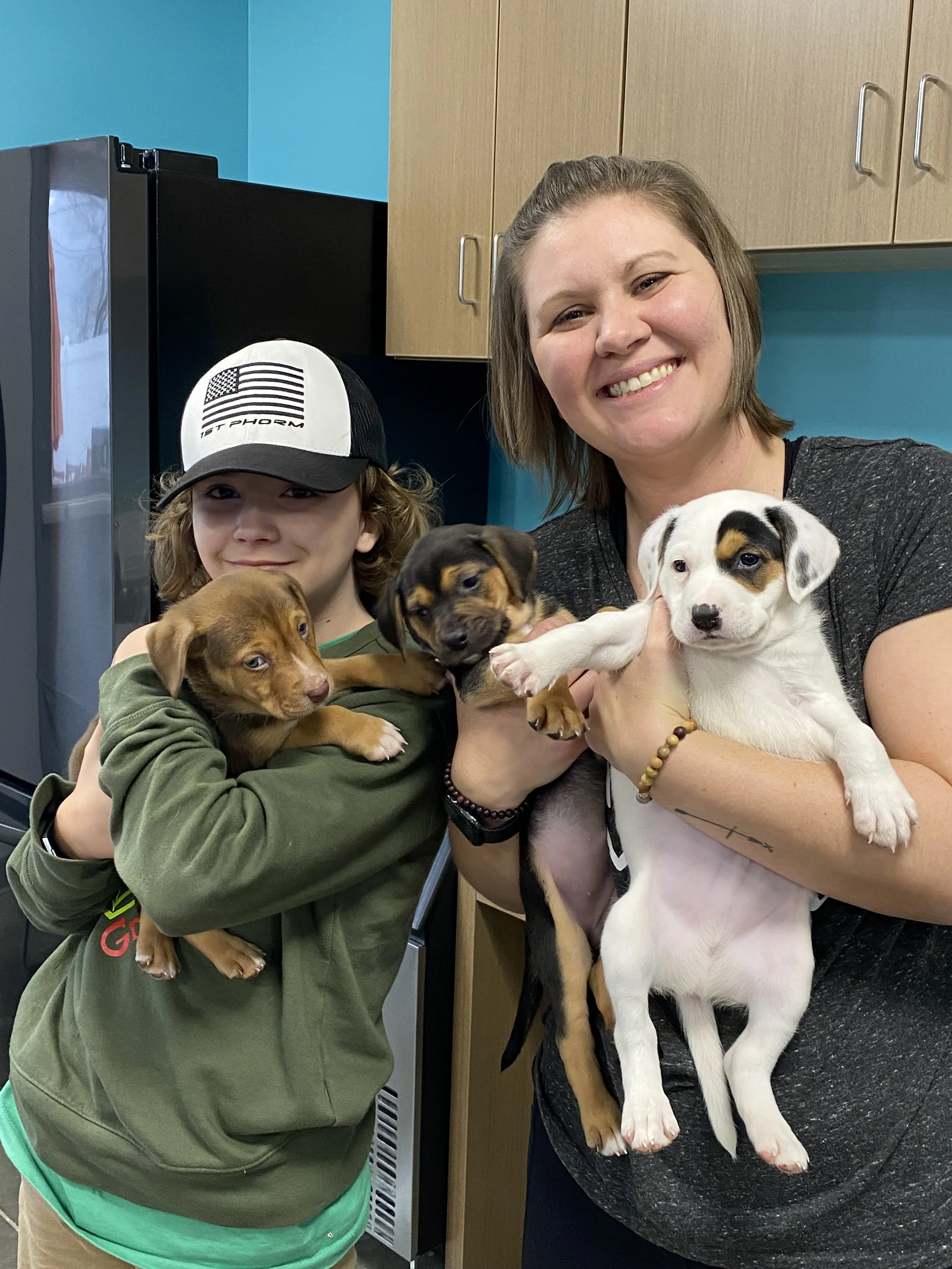 Craigslist Semo Pets - 1nw4jy4