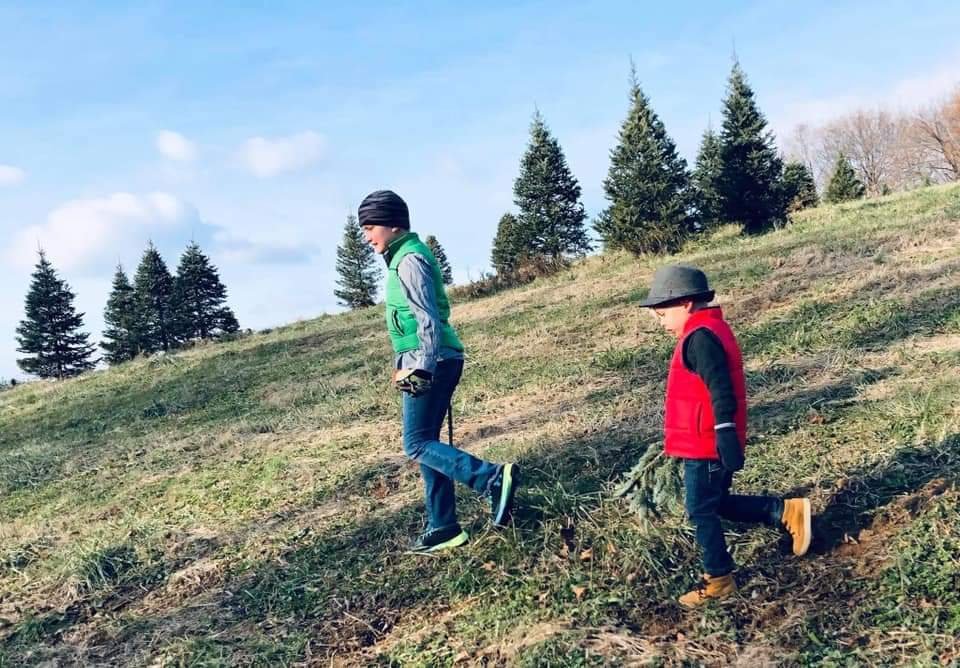 Pre-Season Christmas Tree Tagging & Tree Purchase