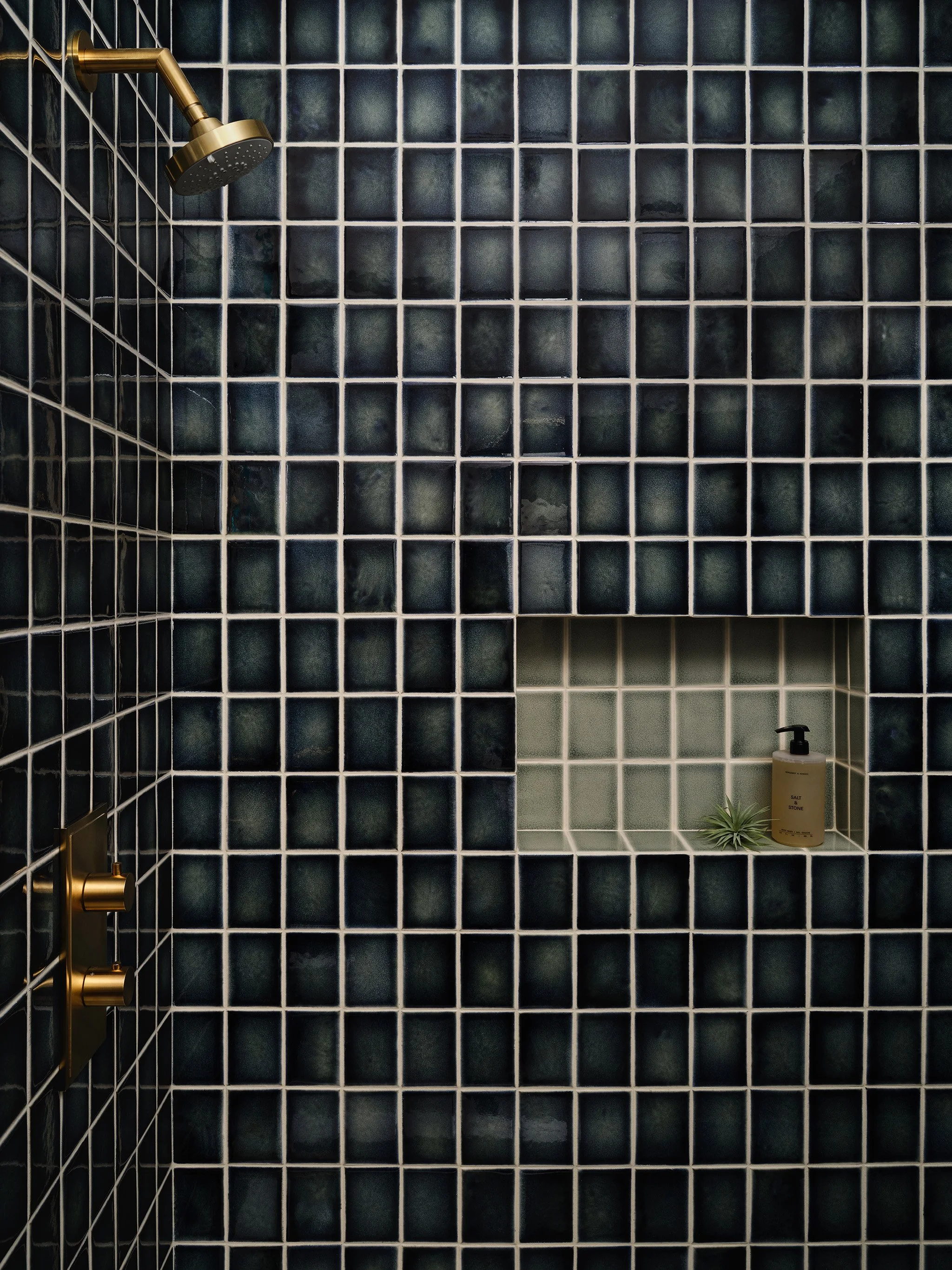 Shower with dark blue tiles, brass showerhead, and wall niche containing soap and a small plant.