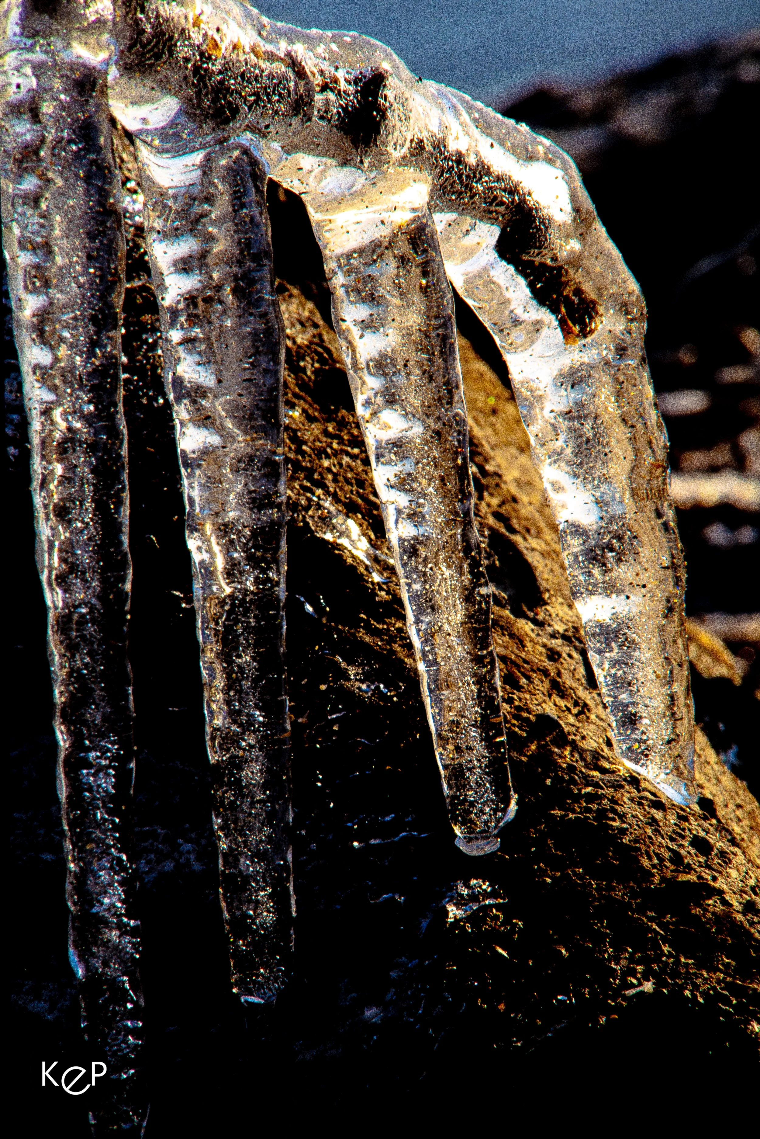 20211212-KEP_Leamington_Colour-15-5.jpg
