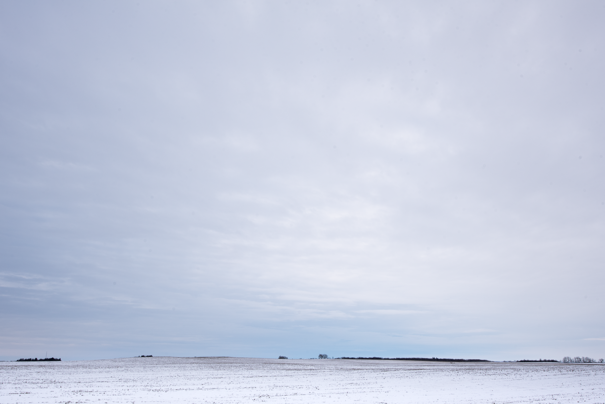 Winter Field and Sky