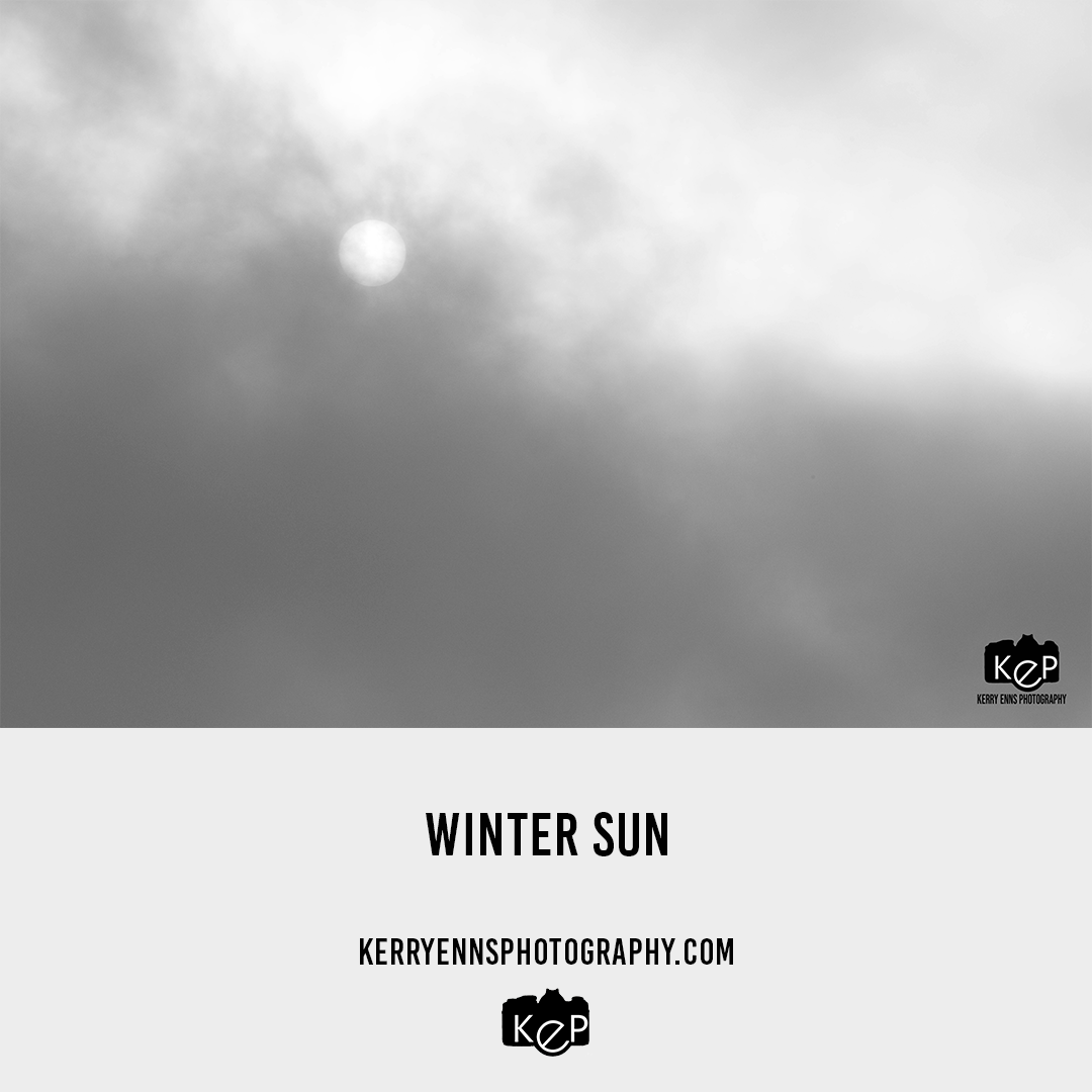 Winter Sun
